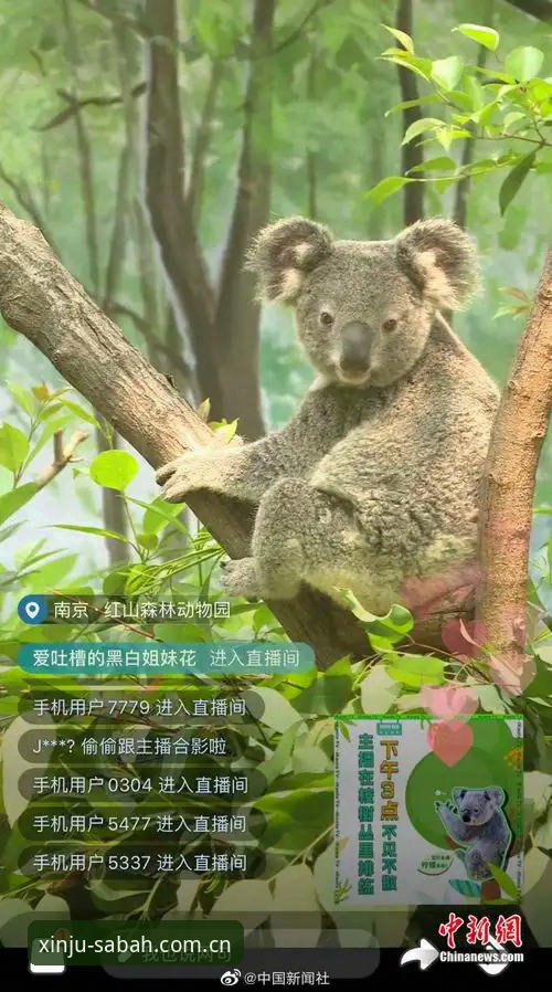 沙巴足球体育平台CN版登录教程 揭秘沙巴足球体育平台CN版登录教程:新手绕坑指南,别再傻傻填错表